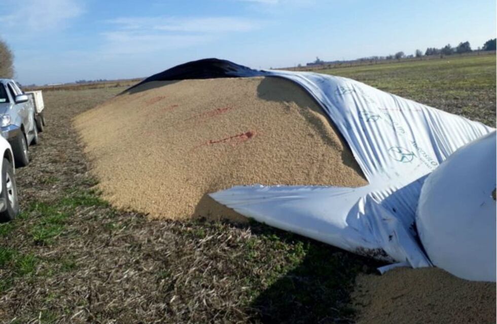 Silobolsas: el apoyo de la Cámara de Comercio de Córdoba a los productores rurales