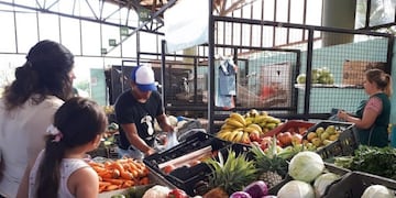 Mercado Concentrador Zonal de Posadas