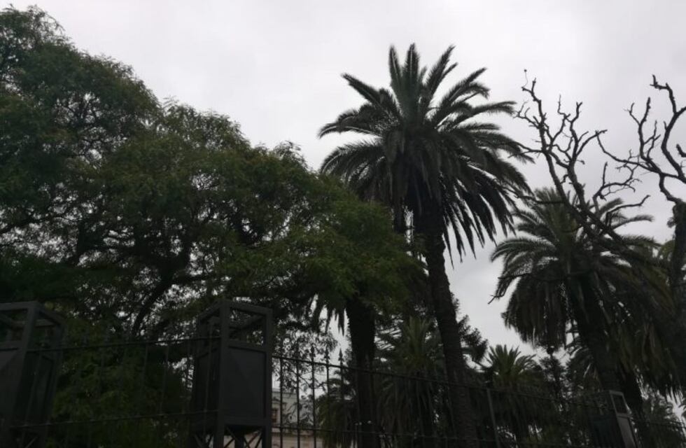 El clima en Jujuy para este viernes 15 de marzo