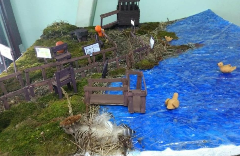 Fueron distinguidos alumnos por proyecto sobre la reserva natural urbana Laguna de los Patos