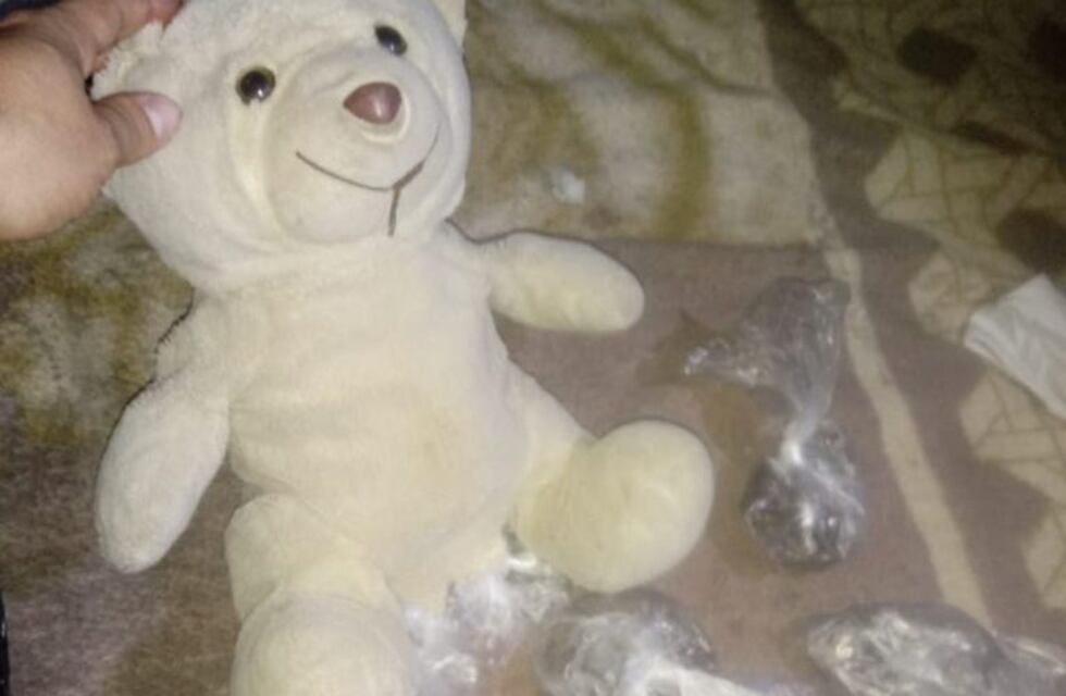 Hallaron droga oculta en un oso de peluche tras persecución en Vía Honda