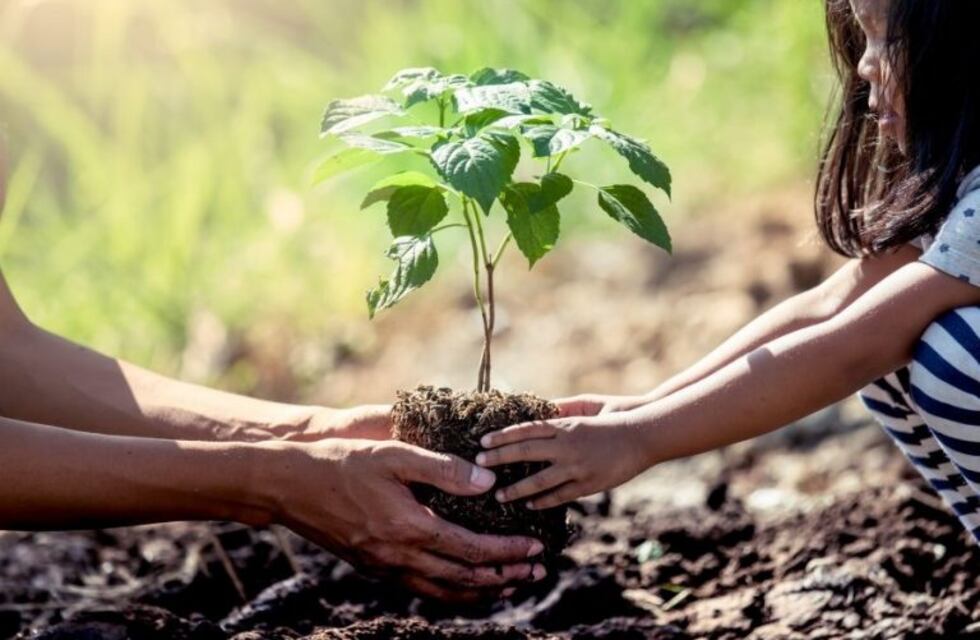 Nueva jornada de educación ambiental en Carlos Paz