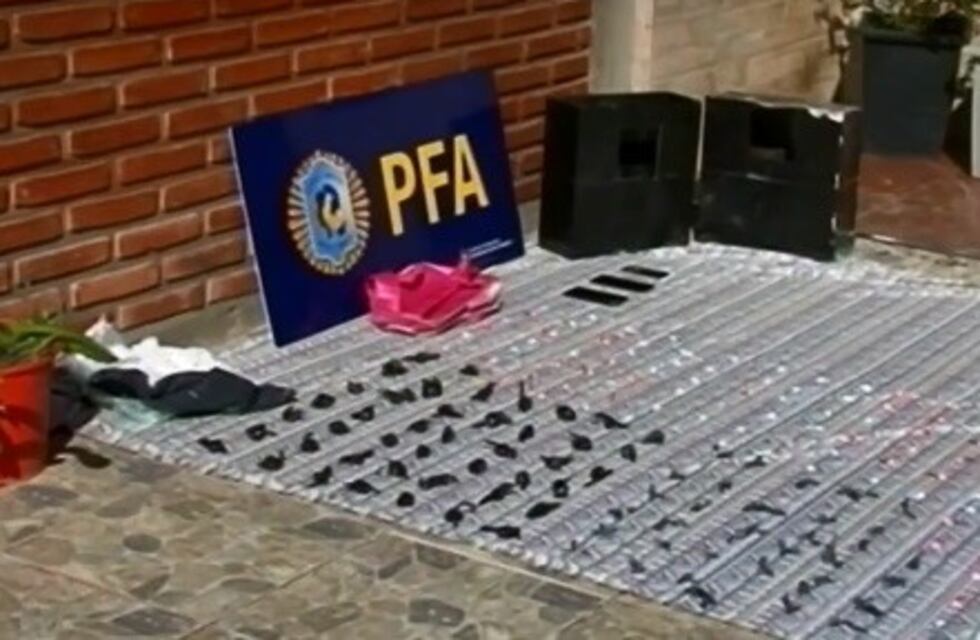 Medio millón de pesos y droga fueron descubiertos tras una falsa pared durante un allanamiento