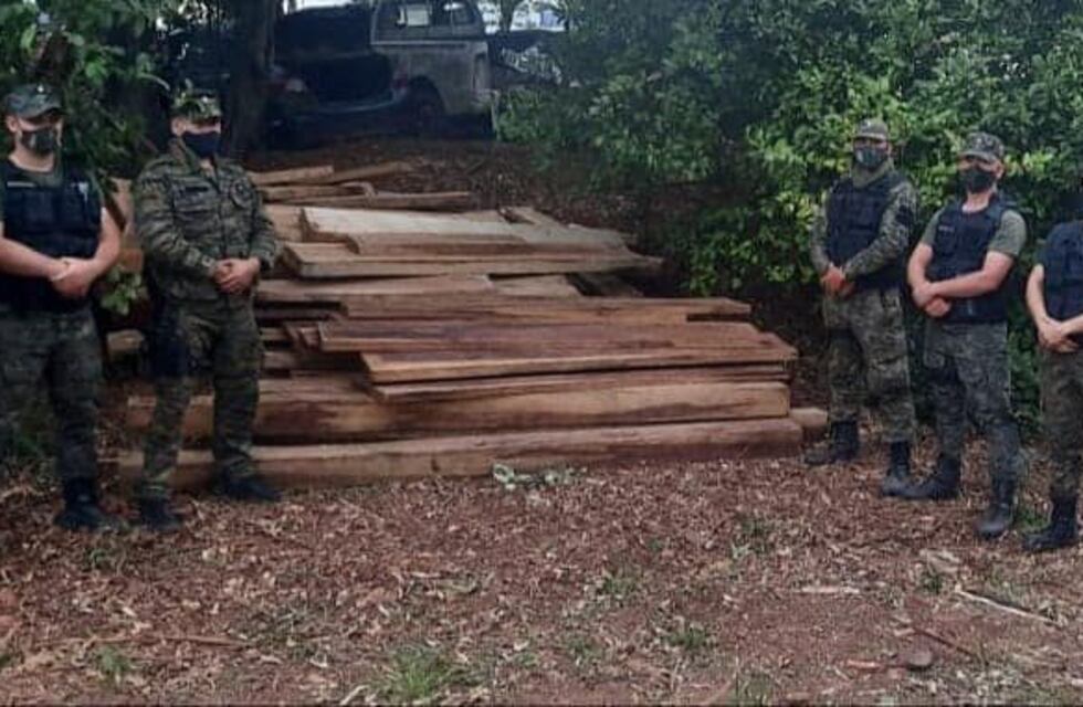Tala ilegal: evitaron el robo de más de 100 planchones de madera nativa