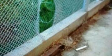 Los fugados de la Comisaru00eda 5u00b0 rompieron dos rejas y escaparon por un terreno lindero a la seccional.