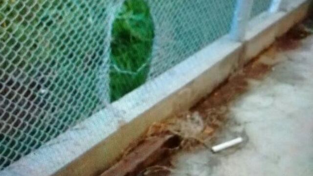 Los fugados de la Comisaru00eda 5u00b0 rompieron dos rejas y escaparon por un terreno lindero a la seccional.