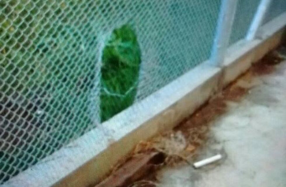 Diez presos se fugaron de una comisaría ubicada a pocas cuadras del centro rosarino