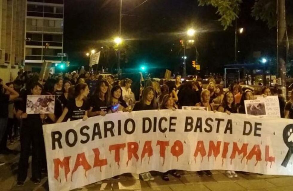 Horror: denunciaron a una mujer por decapitar al perro de su nuera