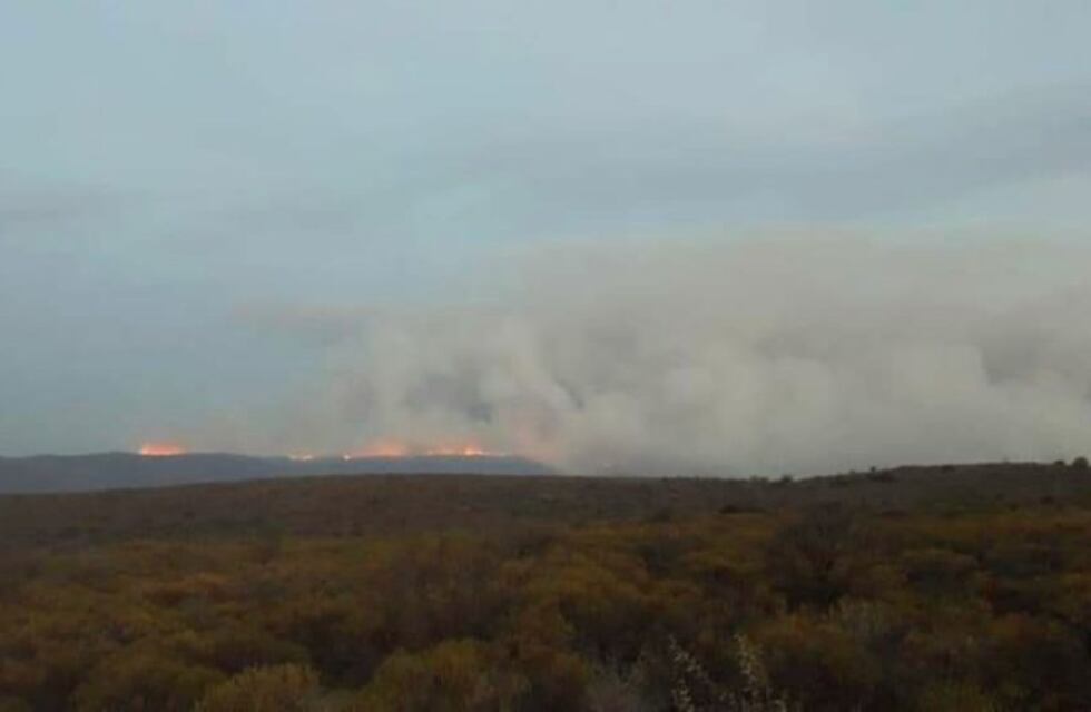 Incendios: fuego en Río de Los Sauces