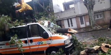 Árbol cayó y destruyó una combi escolar (@juulrc)