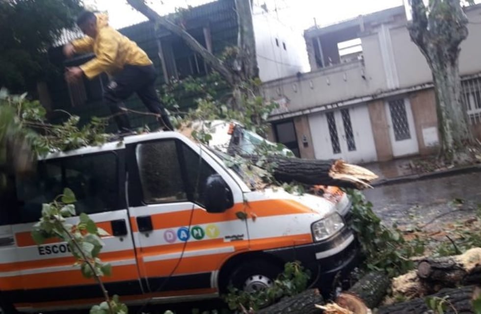 Estaba sin trabajar por la cuarentena y ahora un árbol le aplastó su transporte escolar