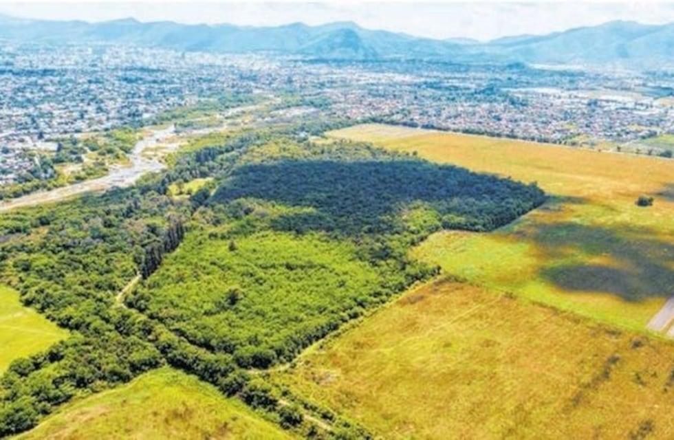 El jardín botánico de Salta cerca de ser una realidad