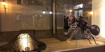 Obras del artista Martín Córdoba en las vidrieras de la institución (Facebook Museo de Arte Contemporáneo de Salta MAC)