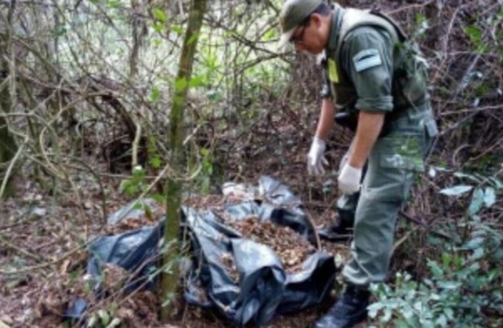 Encontraron media tonelada de marihuana abandonada en Eldorado
