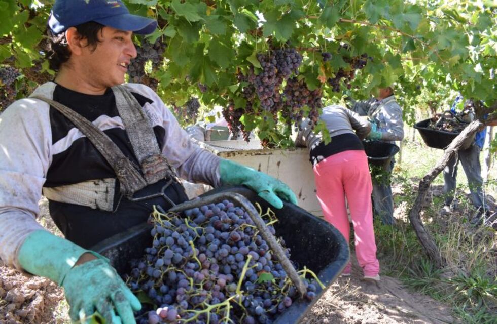 Los mendocinos que vayan a cosechar no perderán las asignaciones