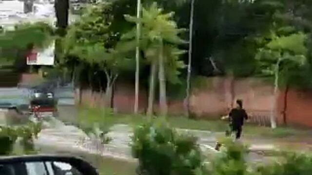 Las imágenes llamaron la atención en medio de los coletazos de las lluvias\u002E (@florq)