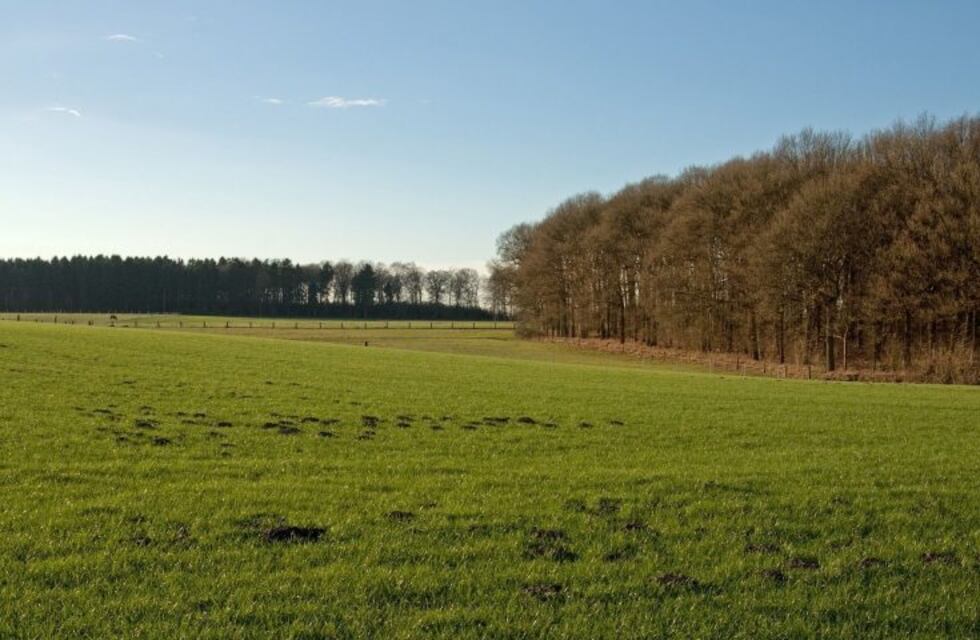 Viernes templado y "con algo" de sol