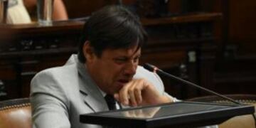 Mario Du00edaz hoy en el recinto de Diputados.