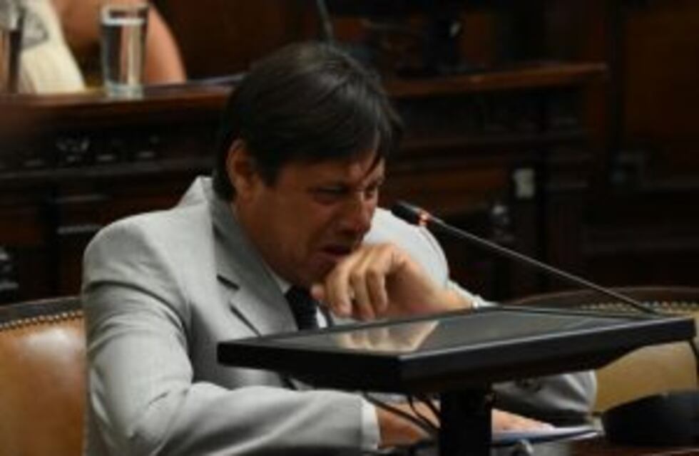 El diputado Mario Díaz se quebró durante la sesión de hoy y dijo que es inocente