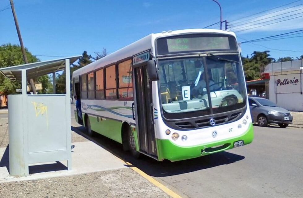 Mil setecientos usuarios del Transporte Público cuentan con el Boleto Gratuito