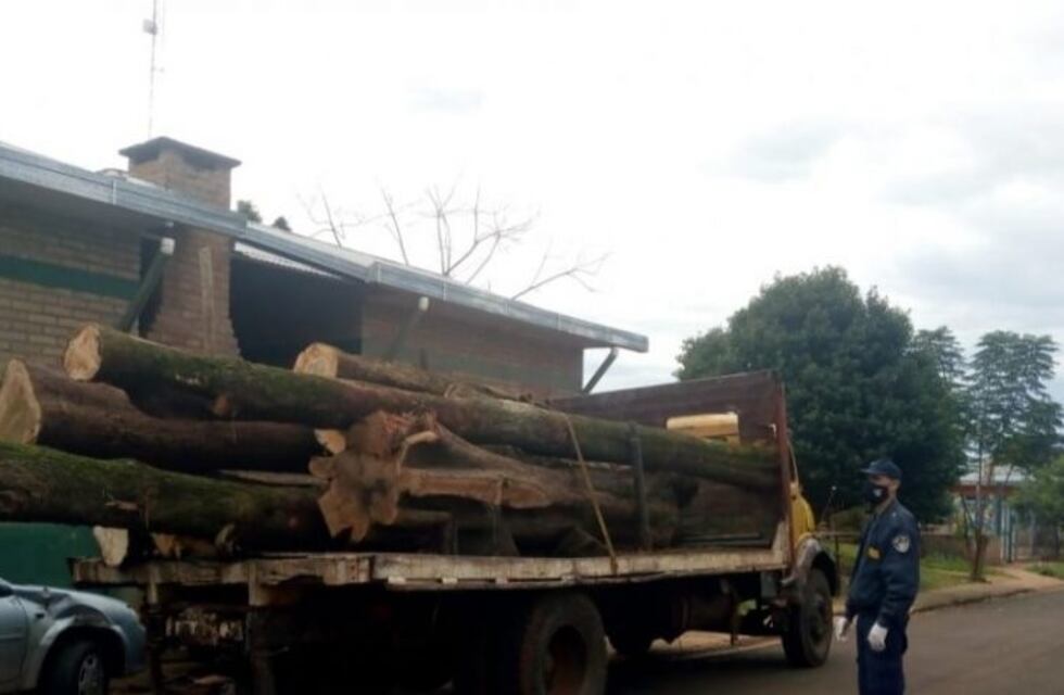 Secuestraron un camión cargado de madera nativa en Alvear