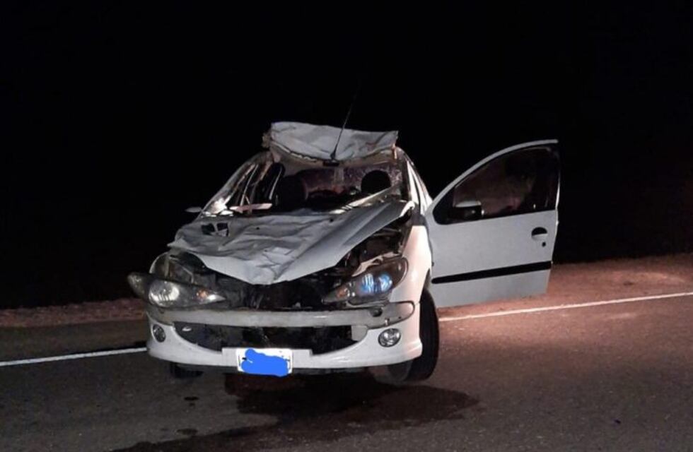 Viajaba a Malargüe y chocó de frente con un caballo