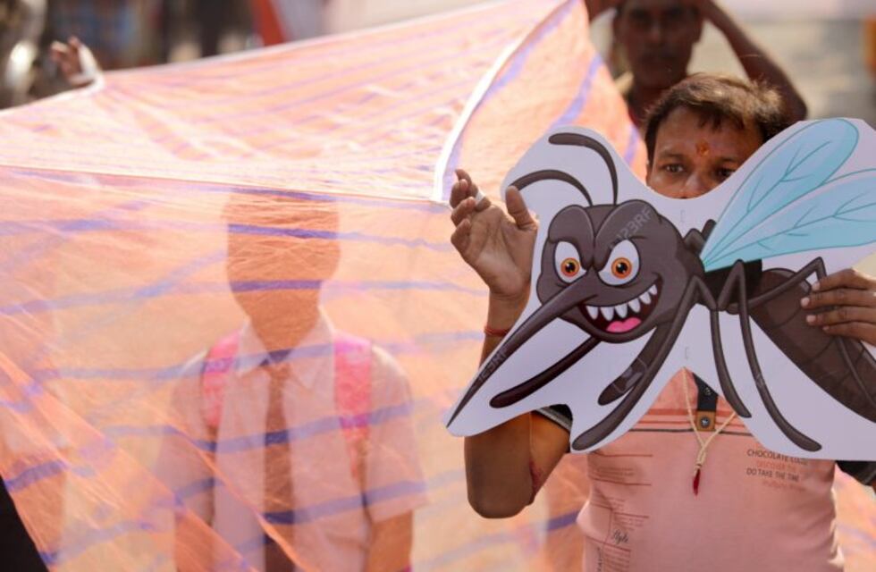 El serotipo 4 es un peligro para quienes ya padecieron dengue