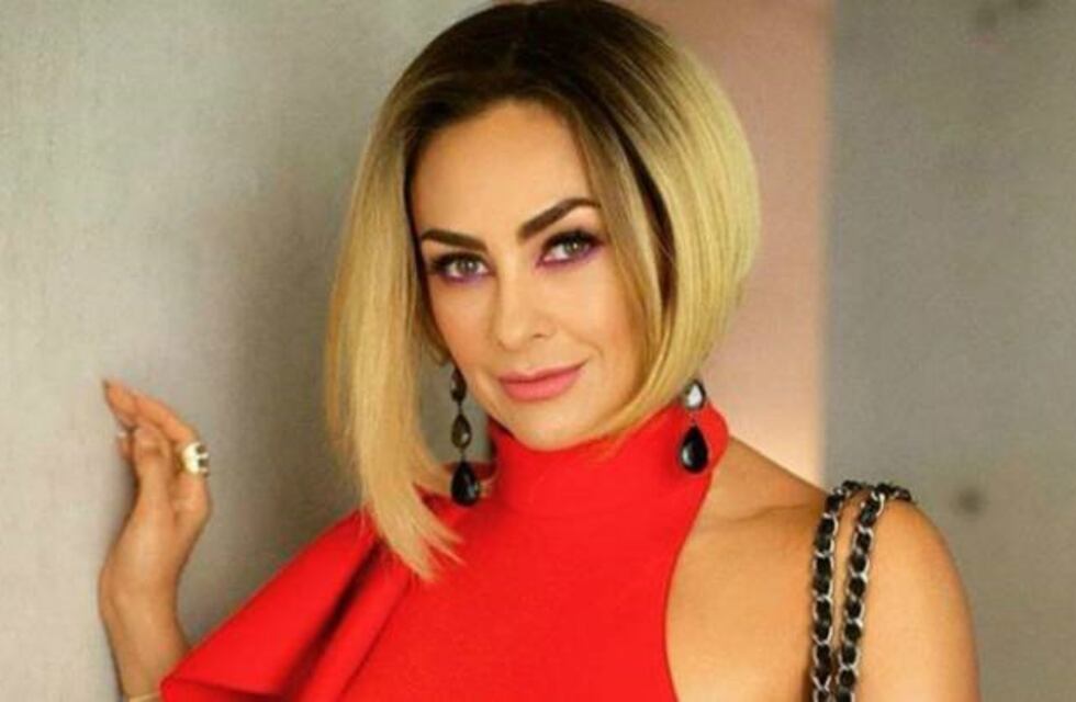 La foto de Aracely Arámbula, la ex de Luis Miguel, que cautivó a sus seguidores de espalda y en bikini