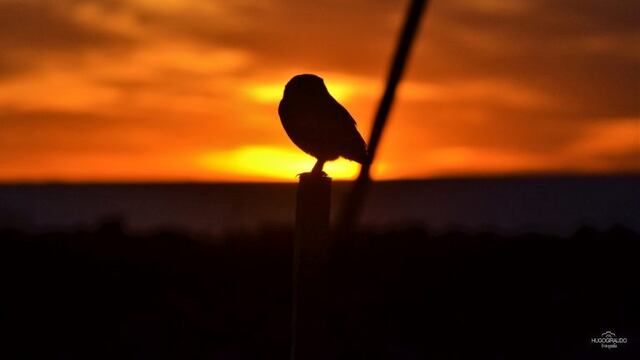 Atardecer en Miramar de Ansenuza - PH Hugo Giraudo
