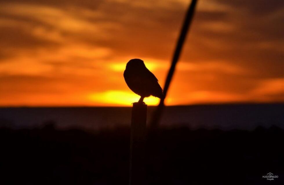 Clima en Ansenuza: el tiempo para el fin de semana