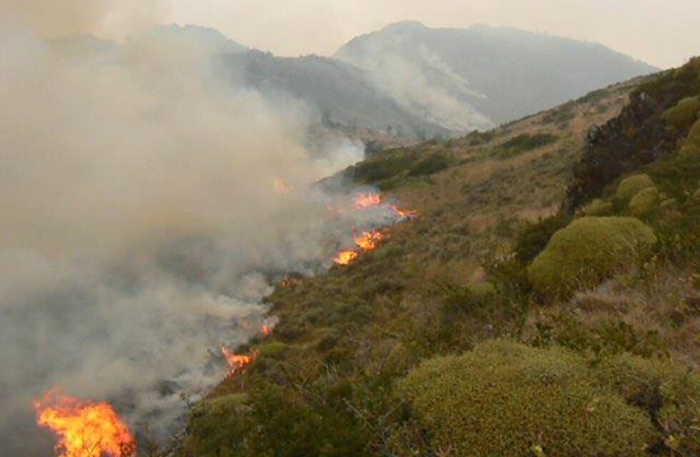 Comenzó la temporada de riesgo de incendios forestales