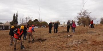 Día del Árbol en Carlos Paz