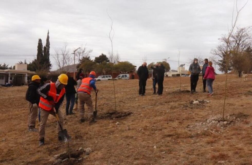 El Día del Árbol se celebró con una jornada de forestación en Carlos Paz