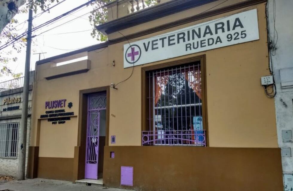 Violento asalto a una veterinaria de zona sur