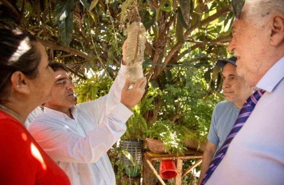 Salud: Nación y Ciudad ponen el acento en el dengue por encima del coronavirus