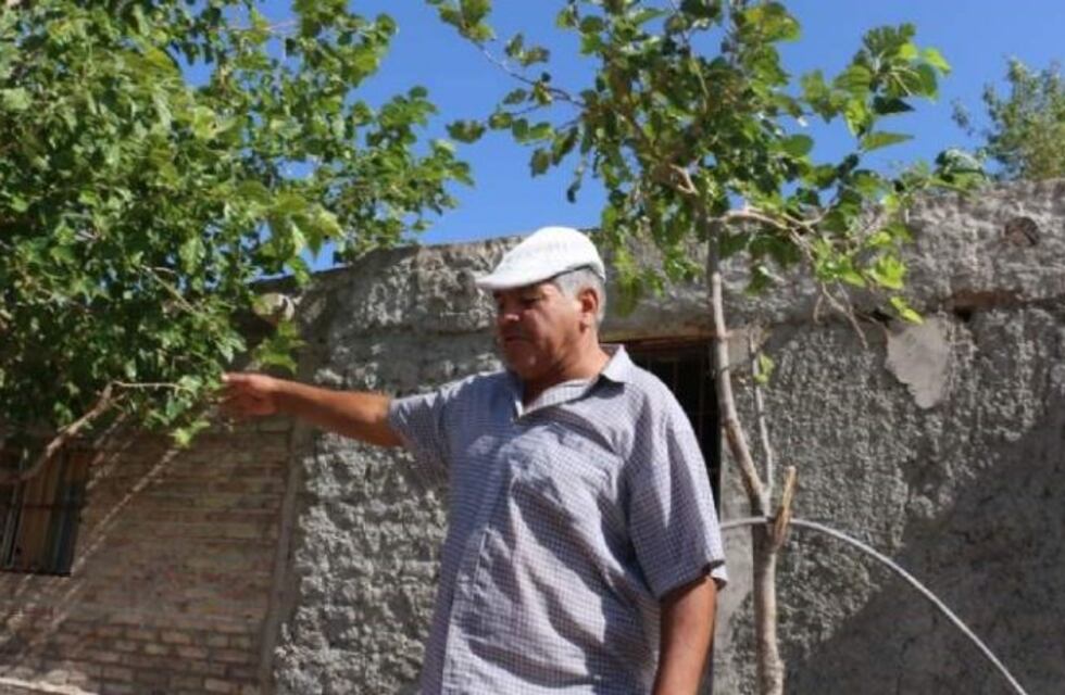 Se robaron hasta los chanchos de una finca de San Juan