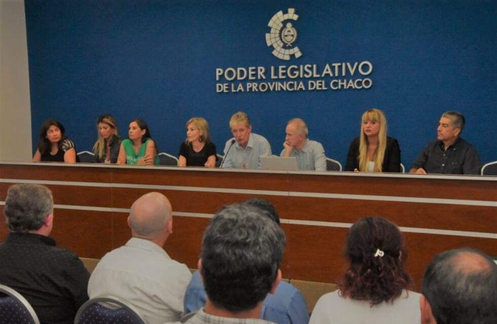 Amplio consenso en diputados para avanzar con el Congreso Pedagógico