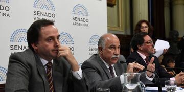 El senador Mario Fiad sobre los recortes del Fondo Federal Solidario