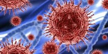 Son 125 los casos de coronavirus en Gualeguaychú\nCrédito: Web