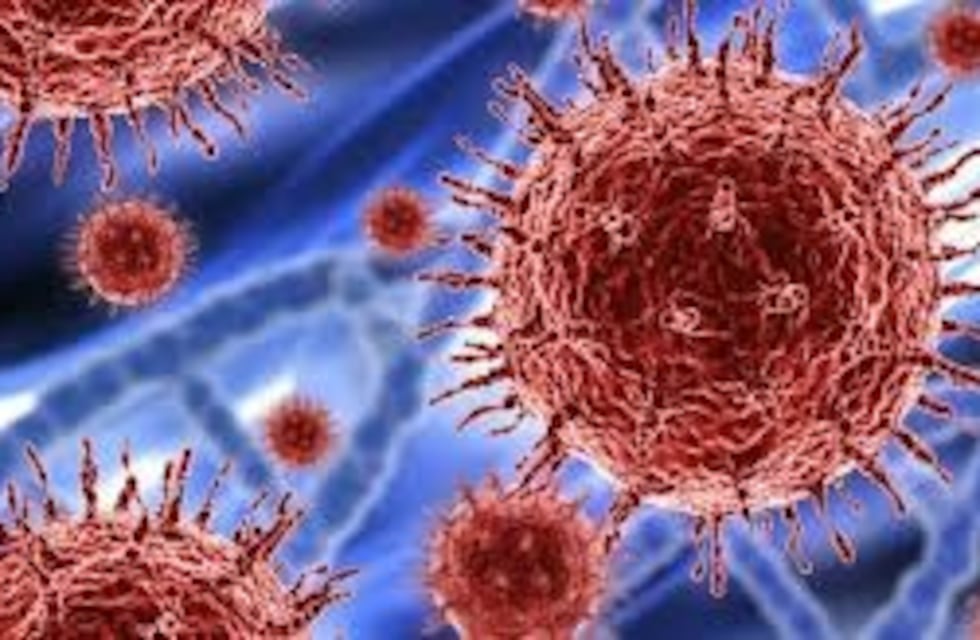 Covid-19: extienden por 7 días más la cancelación de actividades en Gualeguaychú