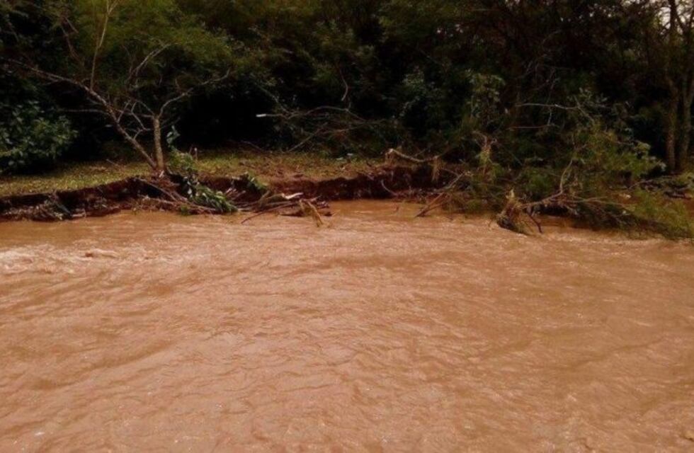 Decenas de animales muertos en los márgenes de un río en Salta