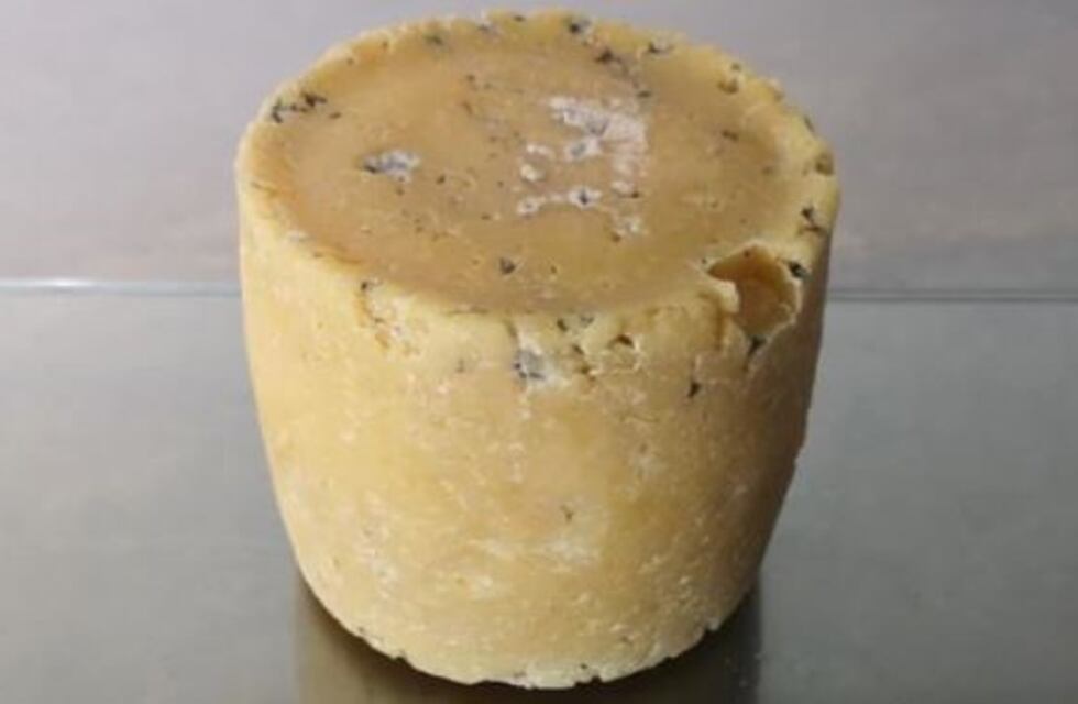 Fabrican quesos con bacterias de famosos y los exhiben en un museo