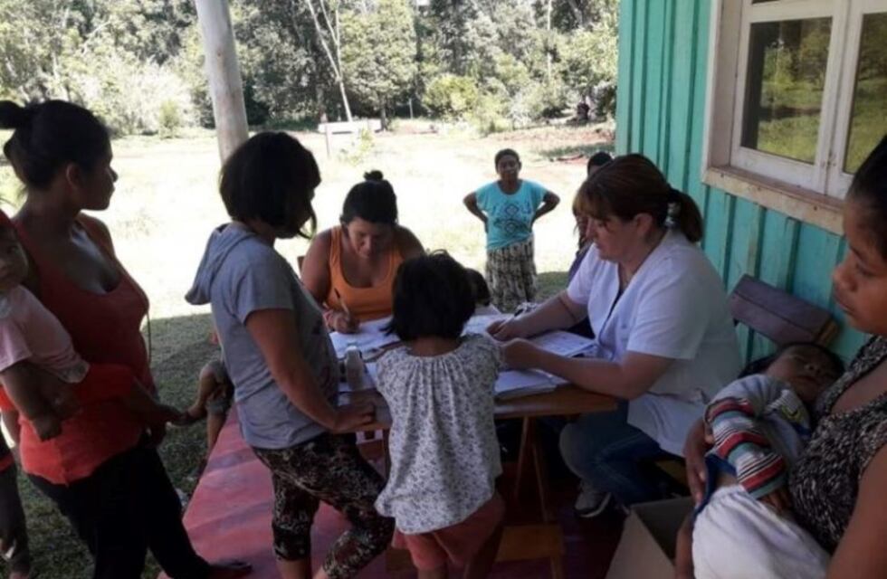 Rescatan plantas medicinales con los abuelos y las abuelas mbyá guaraníes