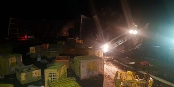 Volcó un camión con pollos y falleció el conductor\u002E