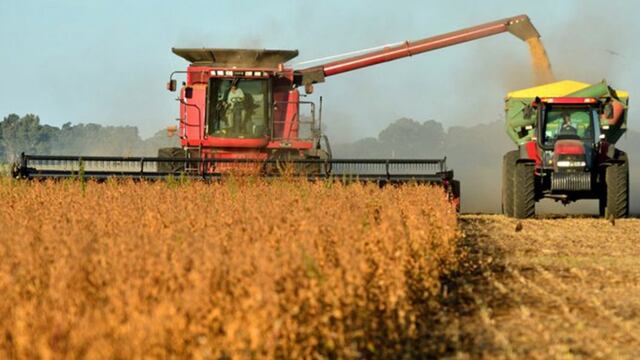 Esperan cosecha récord de trigo en campaña 2018/19