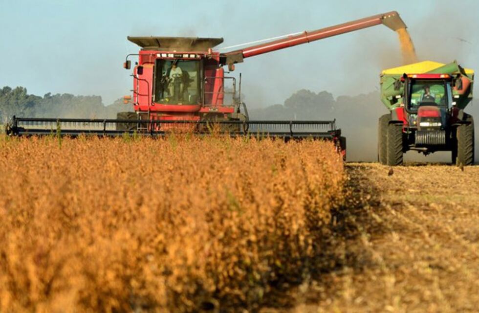 Los seguros y el impuesto a la ganancias a la hora de tener que actuar en el campo