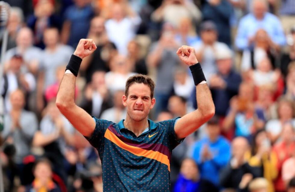 Del Potro venció a Nishioka y avanzó a la tercera ronda del Roland Garros