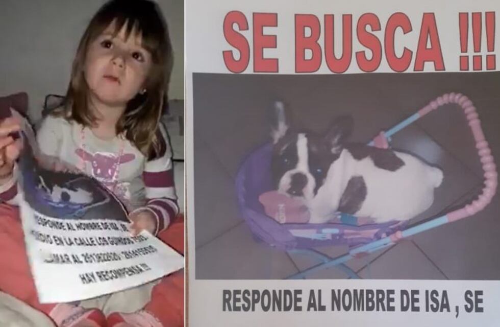 Le robaron a su perrita y grabó un conmovedor video para que se la devuelvan
