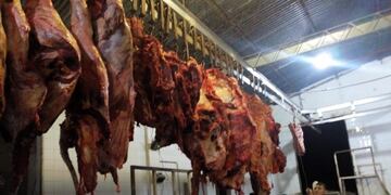 Más de mil kilos de carne faenada en forma clandestina fueron incautadas