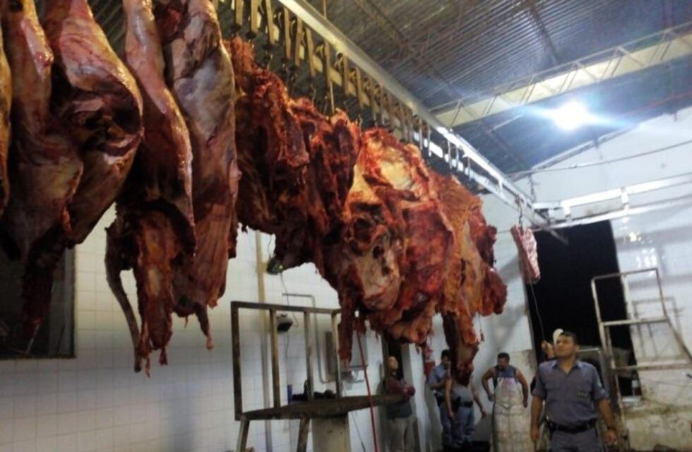 Formosa: secuestran más de mil kilos de carne vacuna faenada en forma clandestina